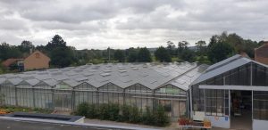 maraichage_carousel2