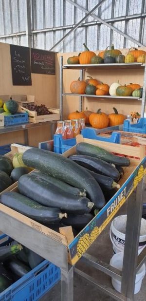 maraichage_carousel3