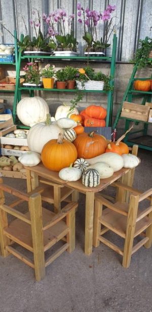 maraichage_carousel4