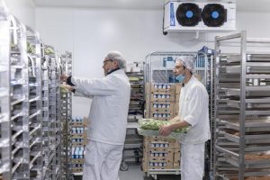 restauration-carousel4